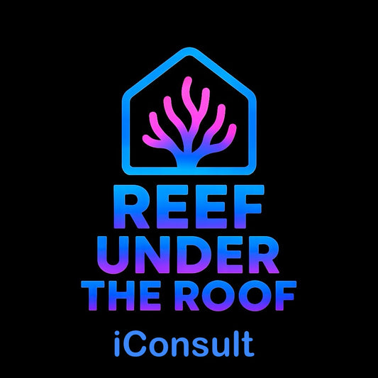 iConsult - Video Call