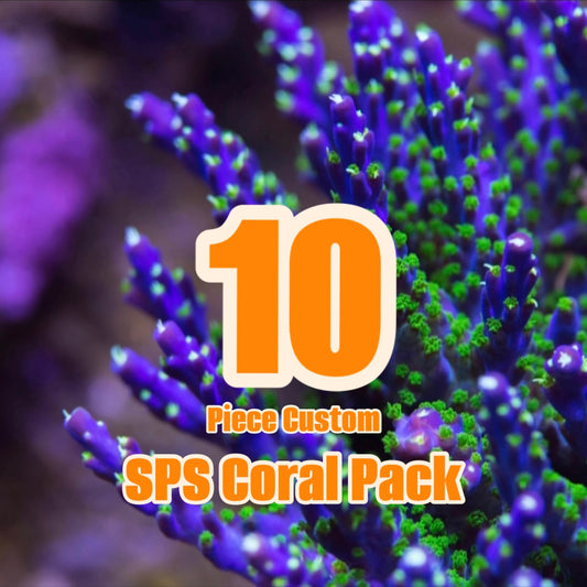 10 Piece Custom SPS Coral Pack