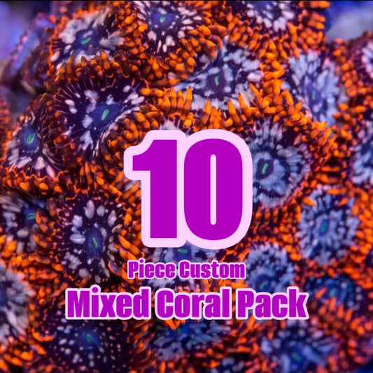 10 Piece Custom Mixed Corals Pack