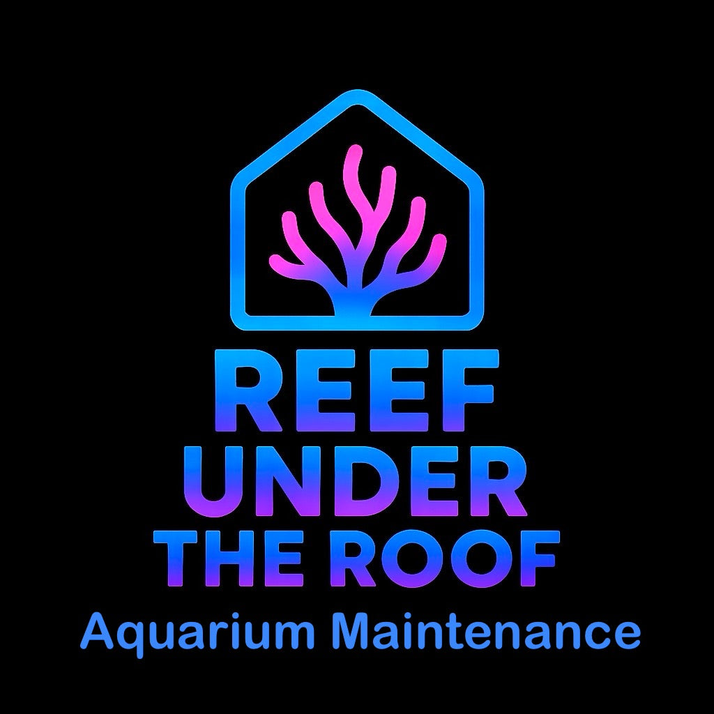 Professional Aquarium Management Services
