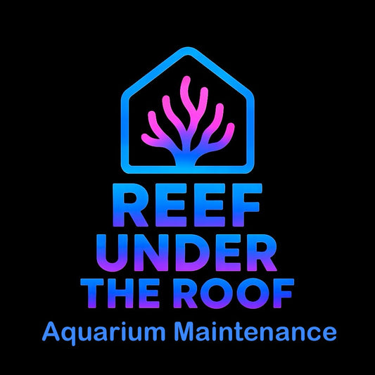 Professional Aquarium Management Services
