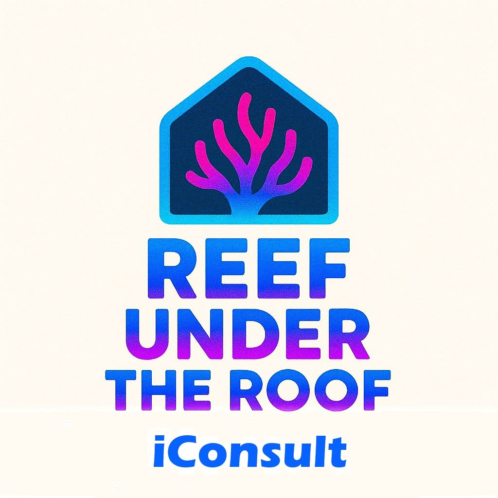 iConsult - Video Call